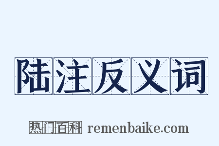 陆注反义词是什么意思的图片